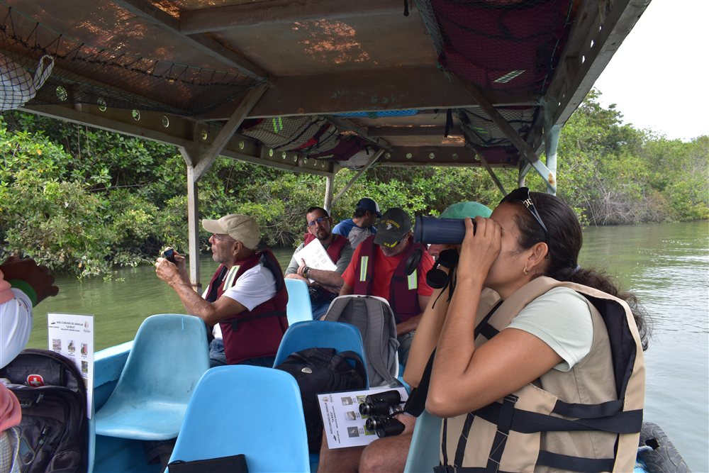 Japotó: bosque seco, manglar y cultura en un día