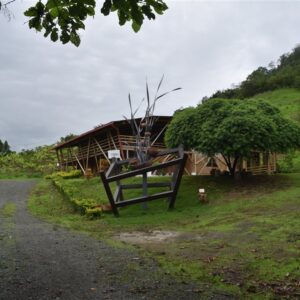 Japotó: bosque seco, manglar y cultura en un día: imagen 4