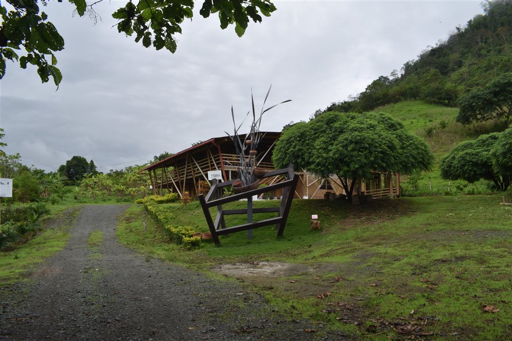 Japotó: bosque seco, manglar y cultura en un día