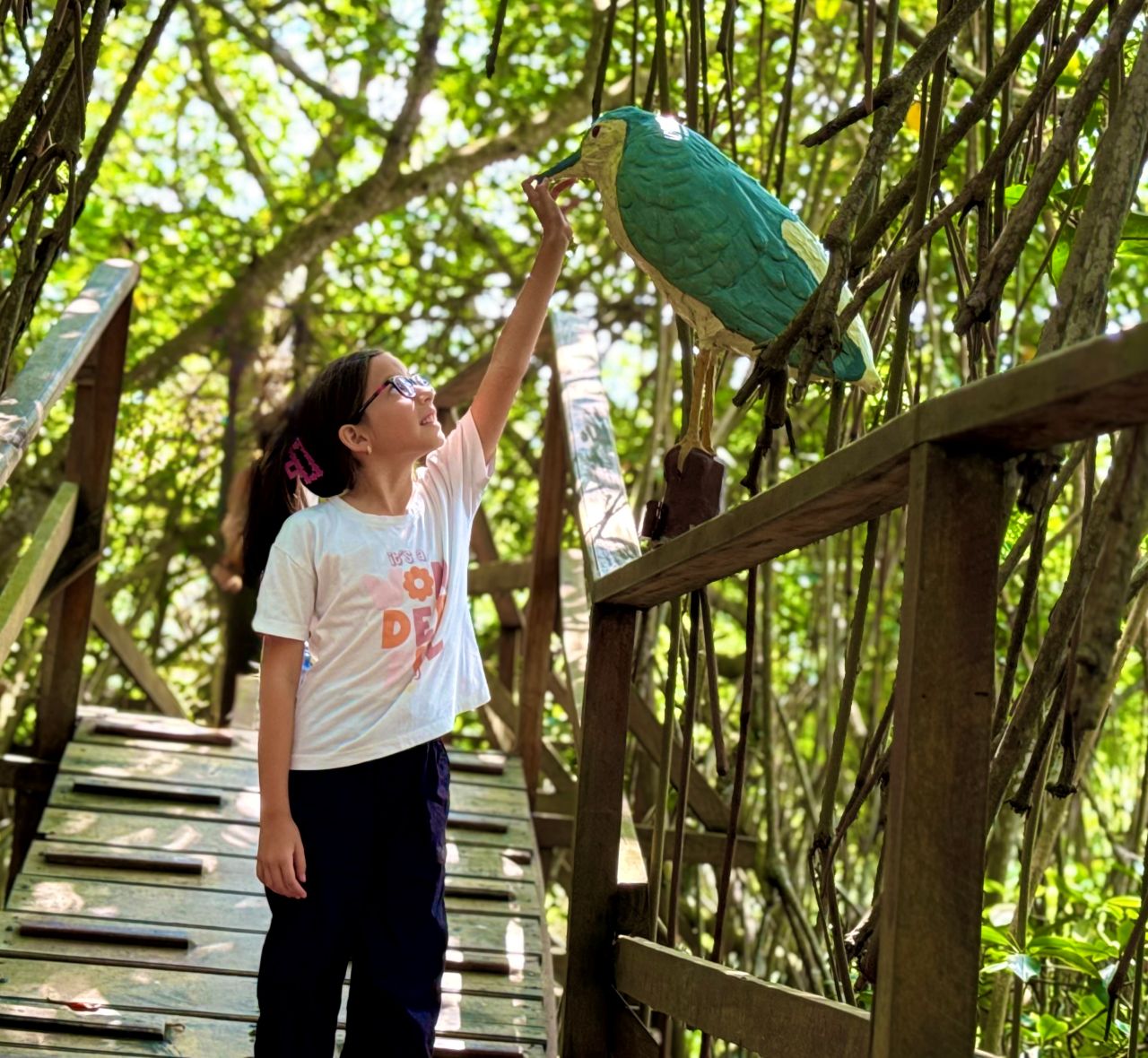 Japotó: bosque seco, manglar y cultura en un día