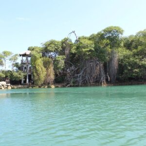 Japotó: bosque seco, manglar y cultura en un día: imagen 10