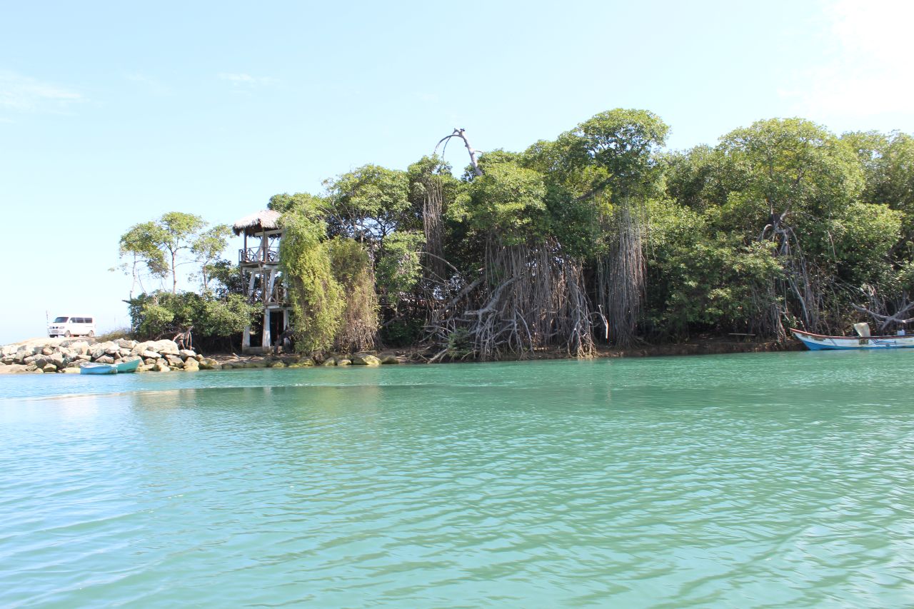 Japotó: bosque seco, manglar y cultura en un día